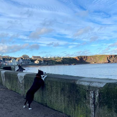 Generals Yard Villa Eyemouth Eksteriør billede